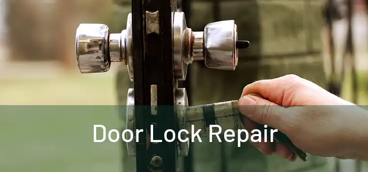 Door Lock Repair