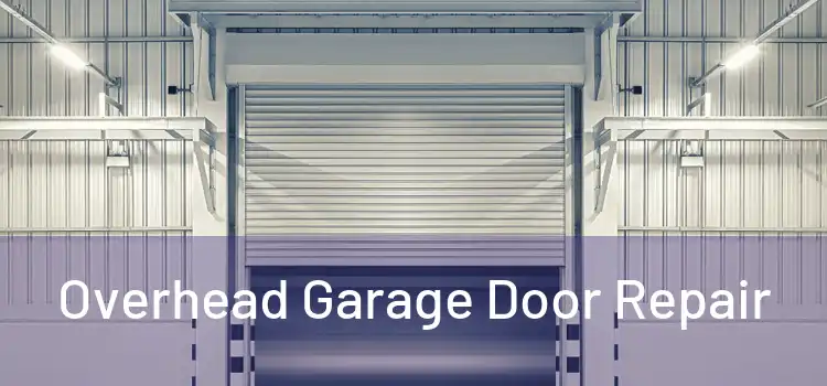 Overhead Garage Door Repair